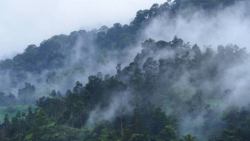 15800536_10211922811450141_2760957705612006195_o