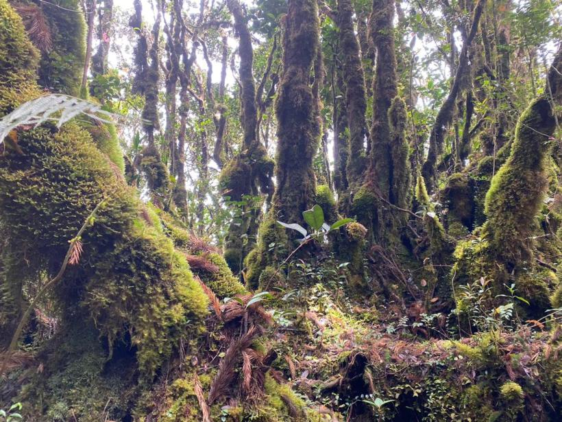 76188c5c-3048-494c-99e2-d121f4e26992