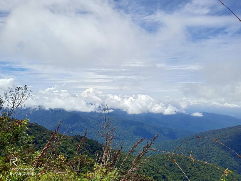 c265d38b-62b9-4e41-b55b-fd8aca474630