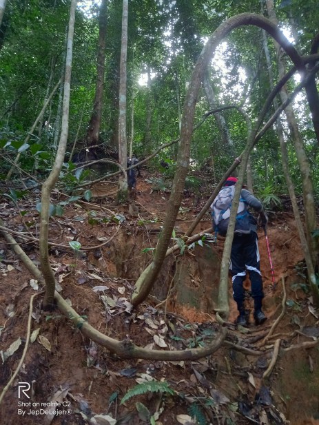 dbe69dc5-fdc9-443d-8460-6a421aa0091a