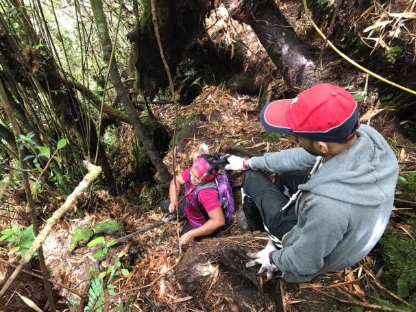 e3f015e2-0a67-4813-a31f-b49d4a3fba65