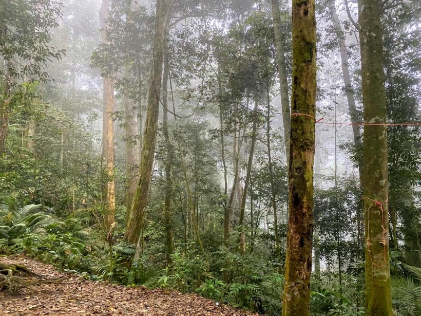 f19e66da-5f6b-4026-aea3-8be1d3d43867